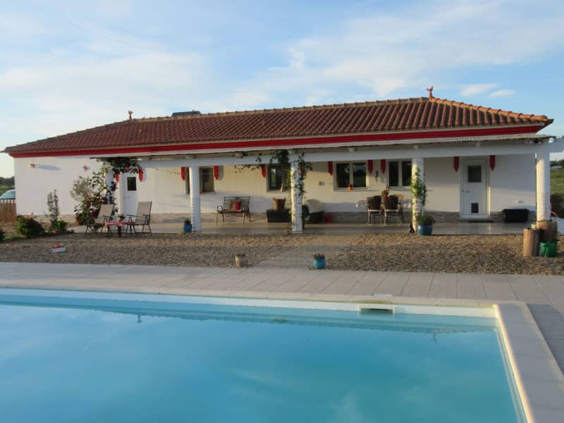 Housesitting assignment in Ferreira do Alentejo, Portugal