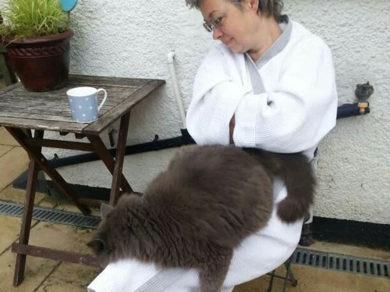 Housesitting assignment in Stuttgart, Germany