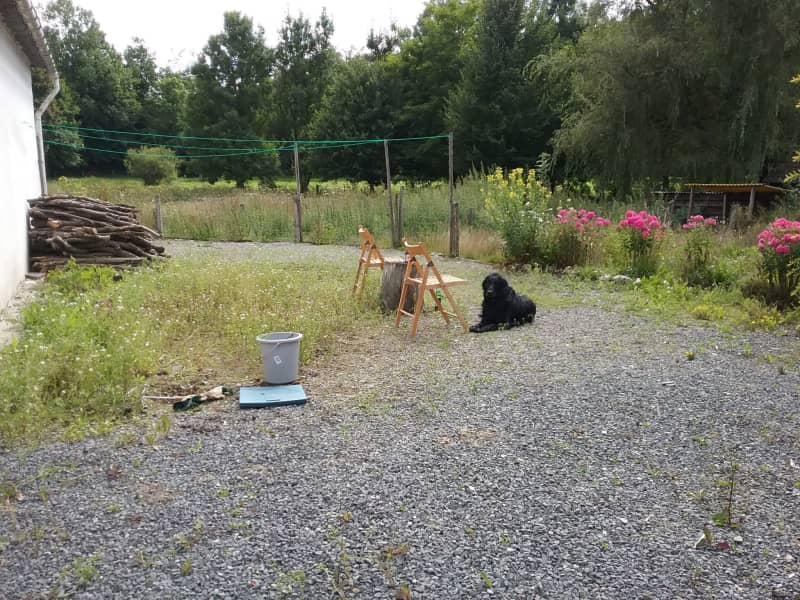 Housesitting assignment in Straimont, Belgium