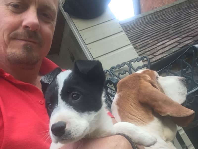 Housesitting assignment in Shrewsbury, United Kingdom