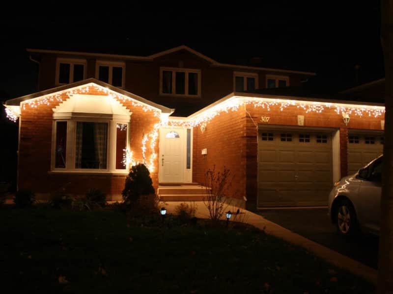 Housesitting assignment in Oakville, Ontario, Canada