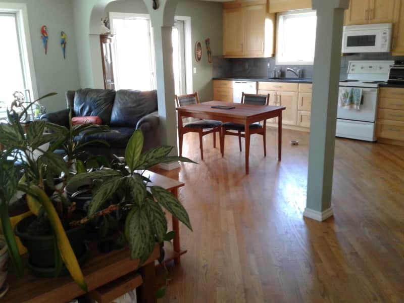 Housesitting assignment in Calgary, Alberta, Canada