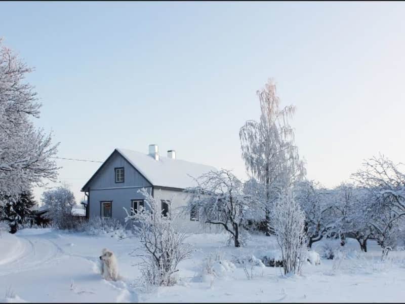 Housesitting assignment in Mikkeli, Finland