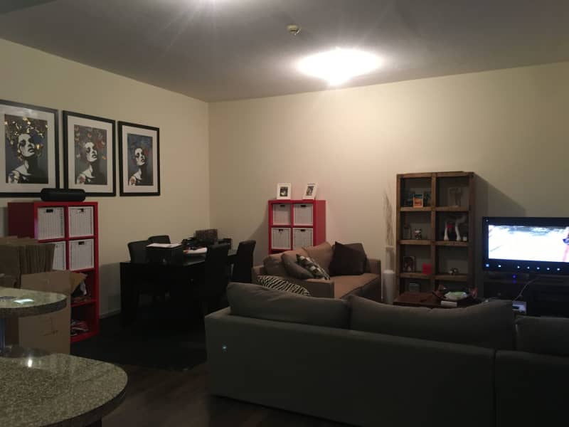 Housesitting assignment in Dubai International Financial Centre, United Arab Emirates