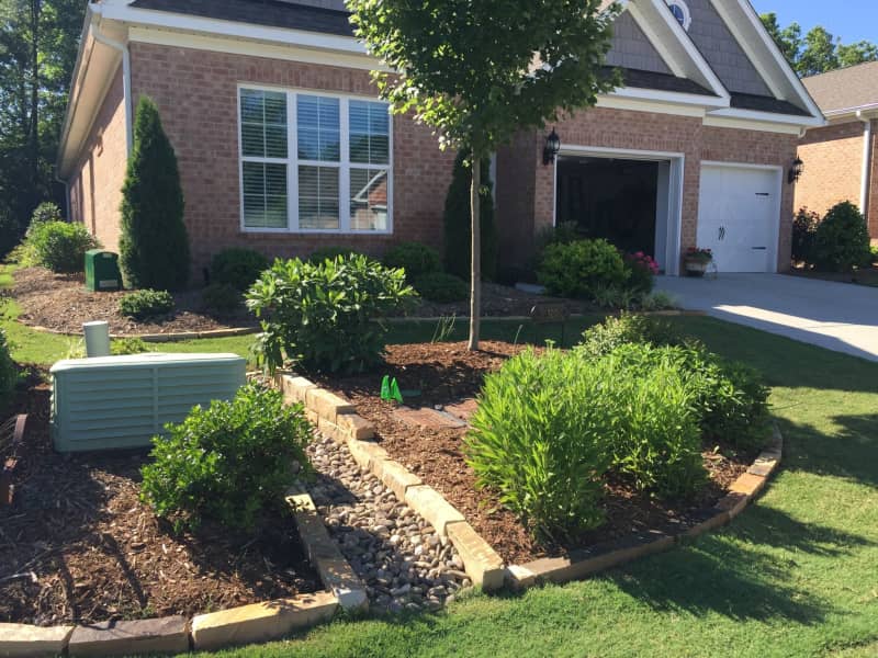 Housesitting assignment in Chapel Hill, North Carolina, United States