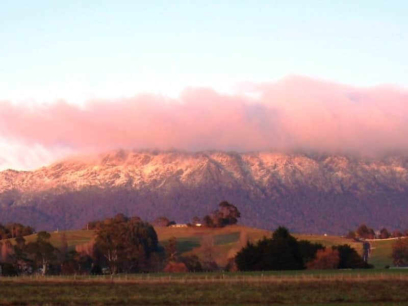 Housesitting assignment in Sheffield, Tasmania, Australia