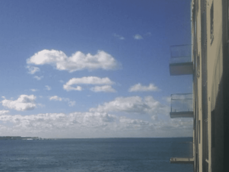 Housesitting assignment in Cronulla, New South Wales, Australia