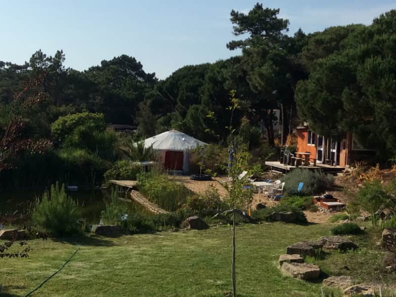 Housesitting assignment in Colares, Portugal