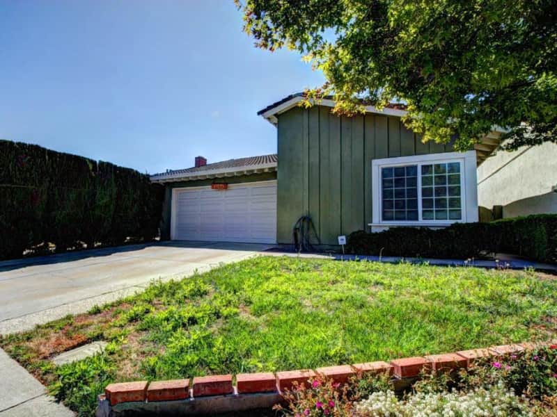 Housesitting assignment in San Jose, California, United States