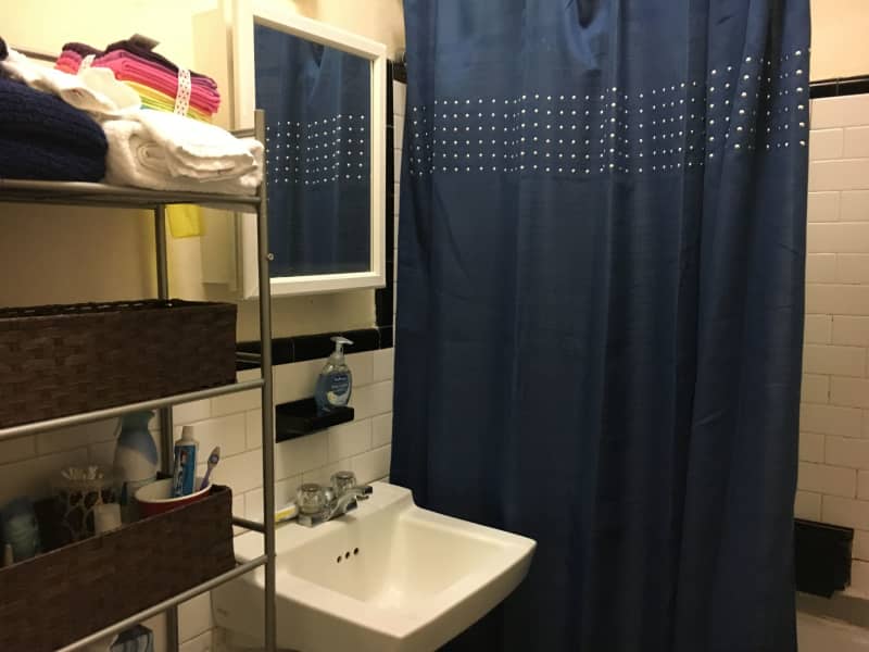 Housesitting assignment in Boston, Massachusetts, United States