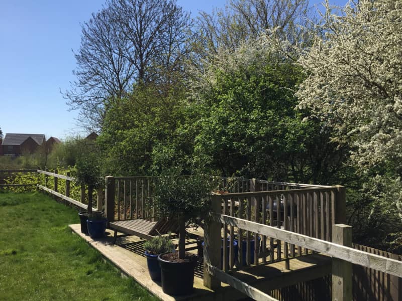 Housesitting assignment in Felpham, United Kingdom
