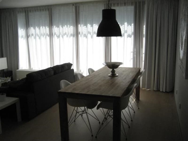 Housesitting assignment in The Hague, Netherlands