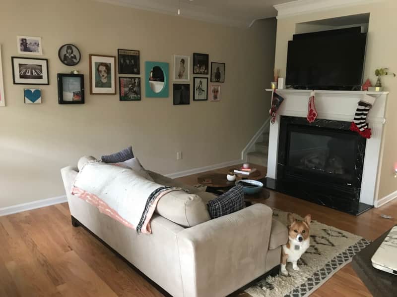 Housesitting assignment in Smyrna, Georgia, United States