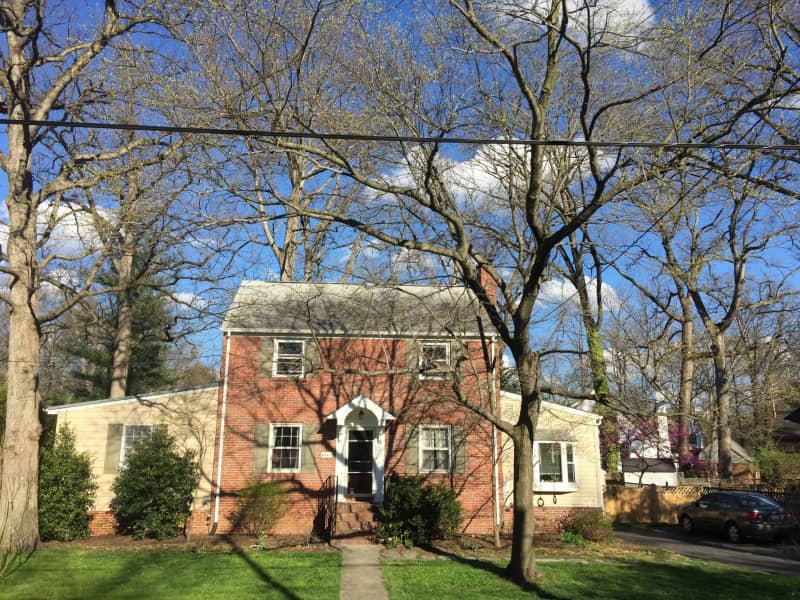 Housesitting assignment in College Park, Maryland, United States