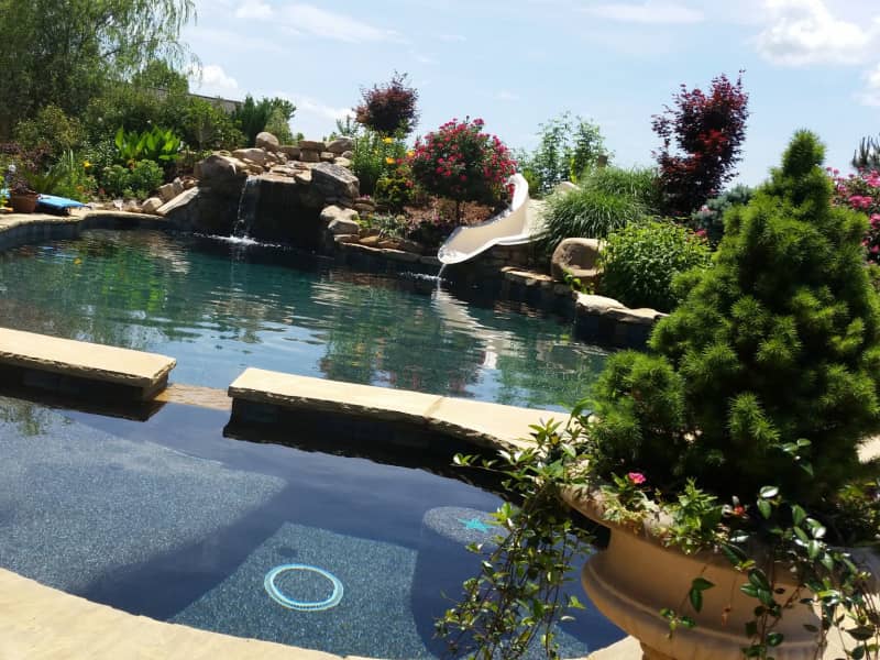 Housesitting assignment in Toccoa, Georgia, United States