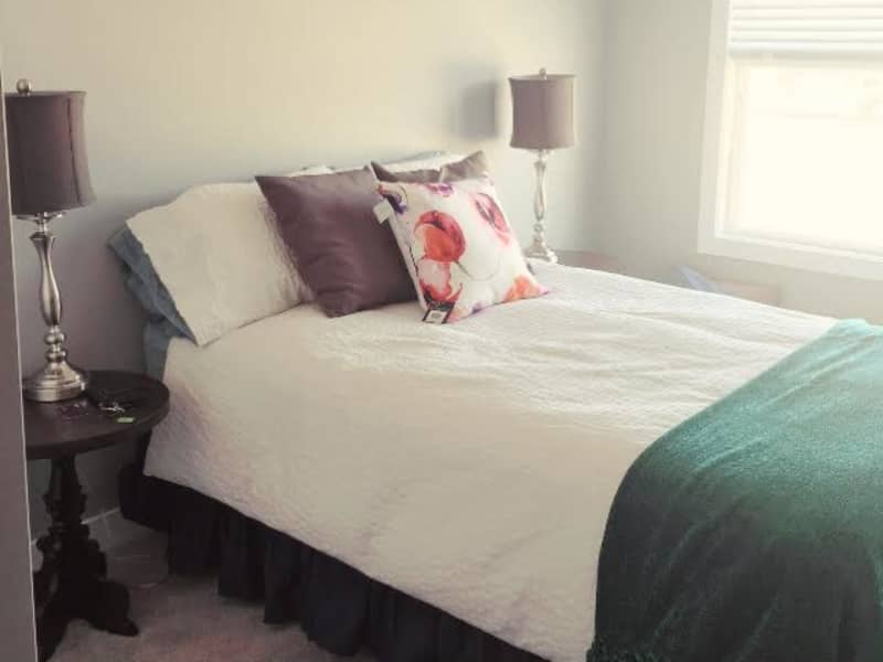 Housesitting assignment in Saskatoon, Saskatchewan, Canada
