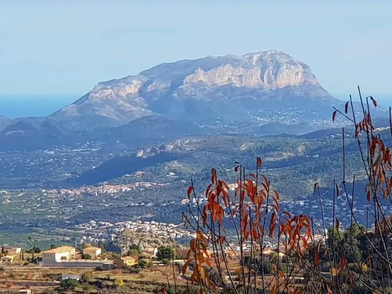 Housesitting assignment in Javea, Spain
