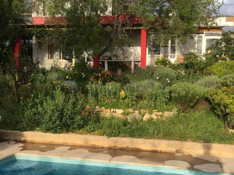 Housesitting assignment in Paderne, Portugal