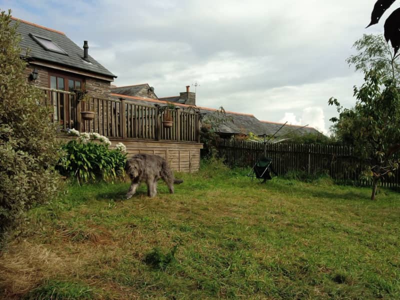 Housesitting assignment in Dobwalls, United Kingdom