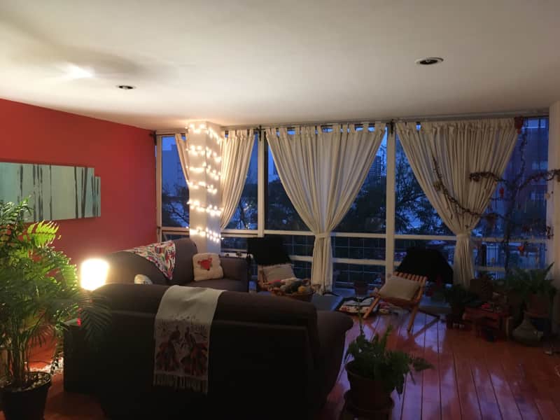 Housesitting assignment in Mexico City, Mexico
