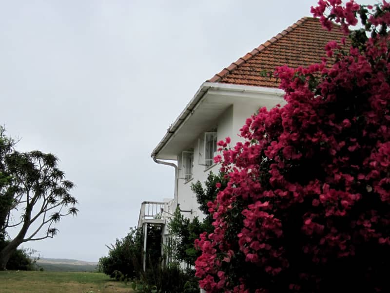 Housesitting assignment in Port Elizabeth, South Africa