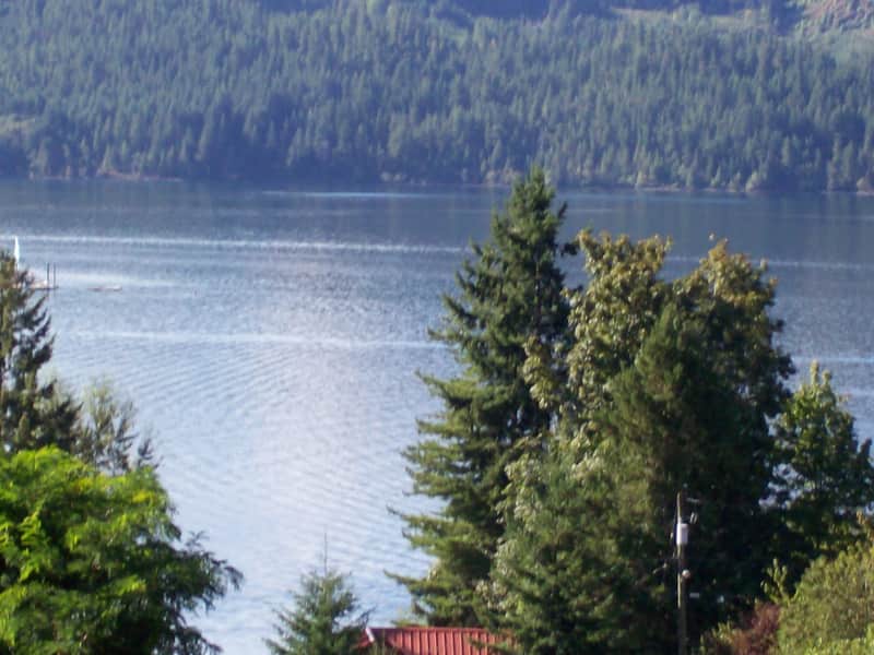 Housesitting assignment in Lake Cowichan, British Columbia, Canada