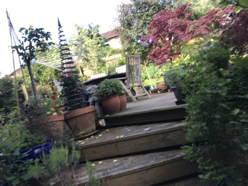Housesitting assignment in Northampton, United Kingdom