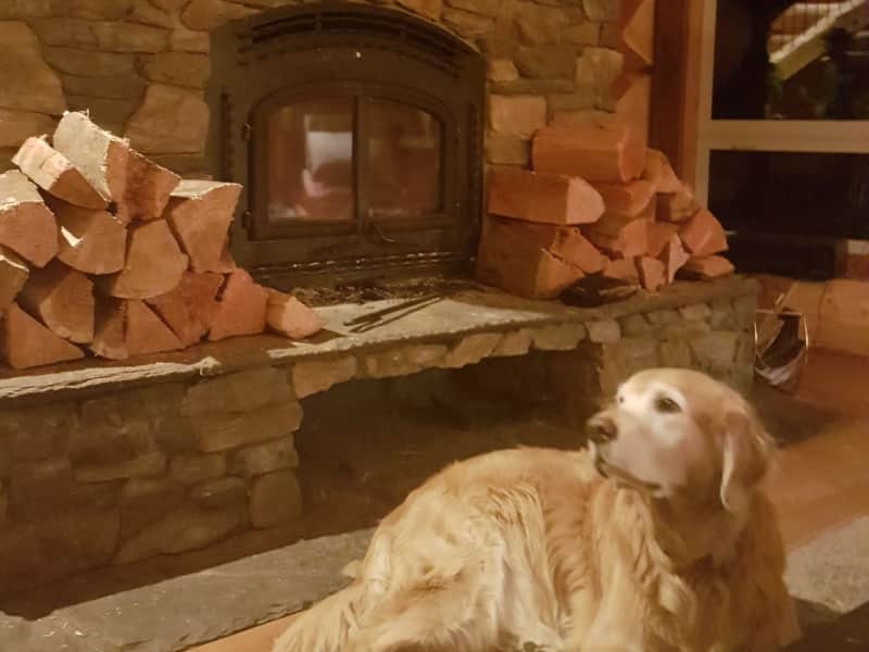 Housesitting assignment in Revelstoke, British Columbia, Canada