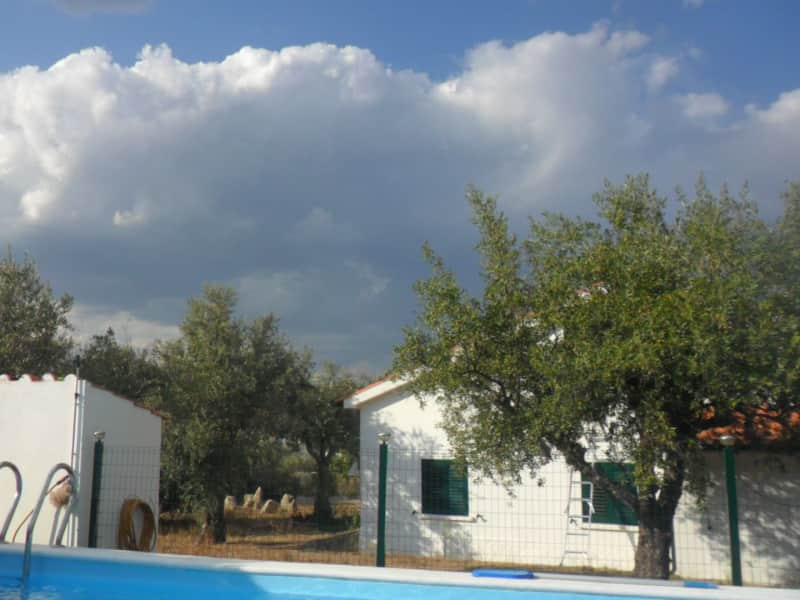 Housesitting assignment in Fundão, Portugal