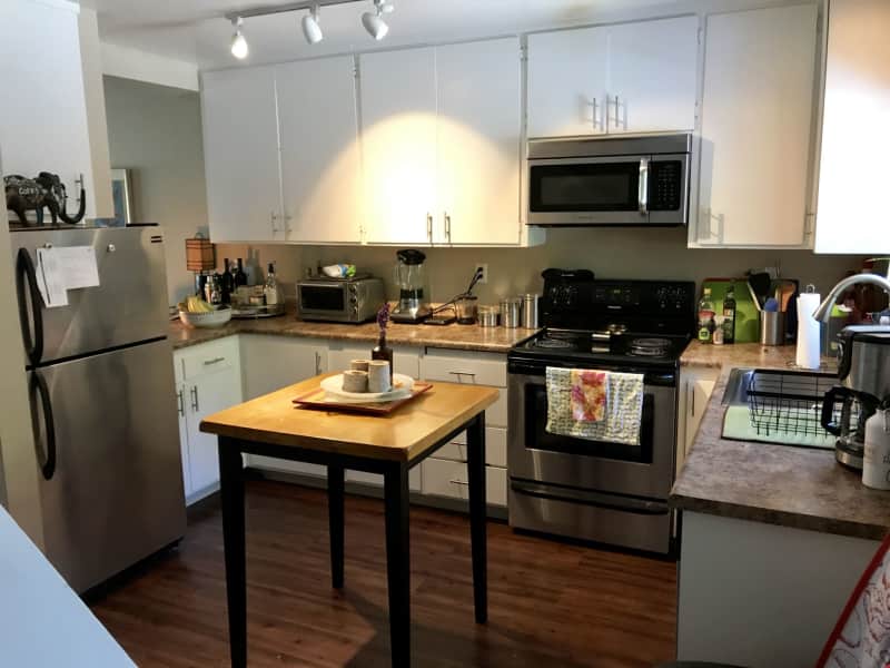 Housesitting assignment in Mill Valley, California, United States
