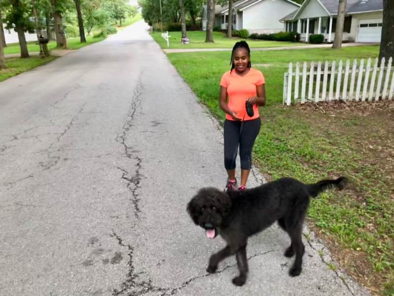 Housesitting assignment in Fort Leonard Wood, Missouri, United States