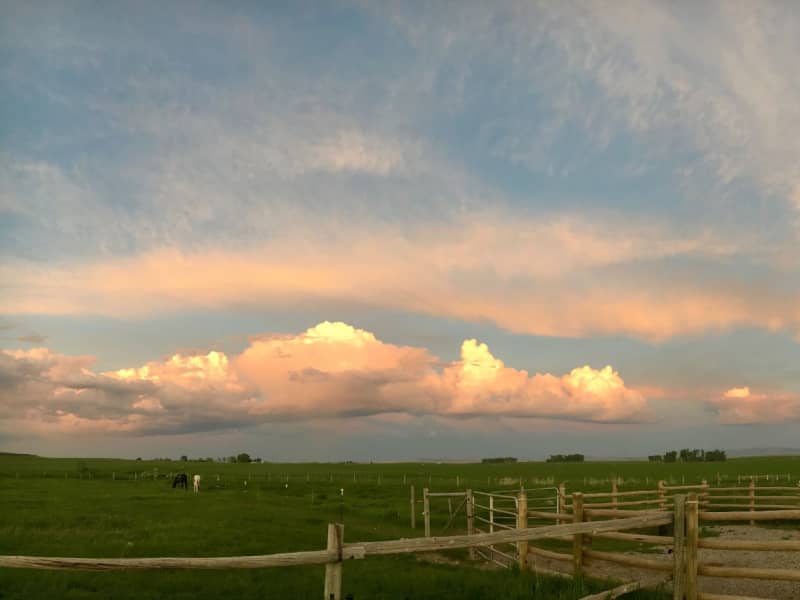 Housesitting assignment in Fairfield, Montana, United States