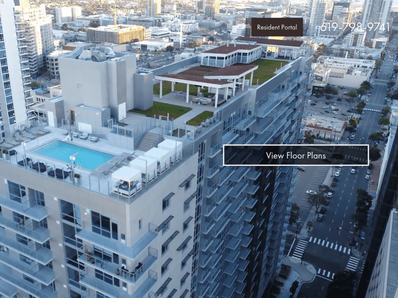 Housesitting assignment in San Diego, California, United States