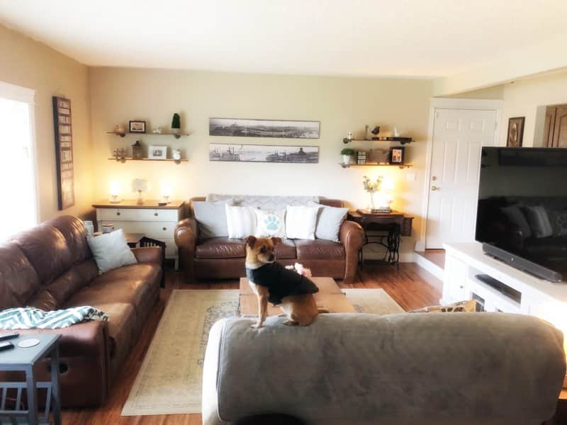 Housesitting assignment in Vancouver, Washington, United States