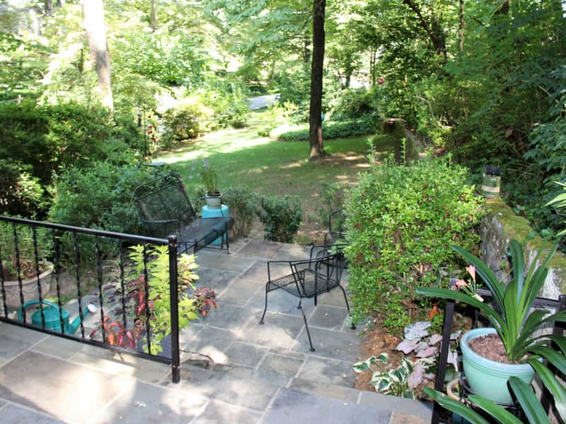 Housesitting assignment in Tryon, North Carolina, United States