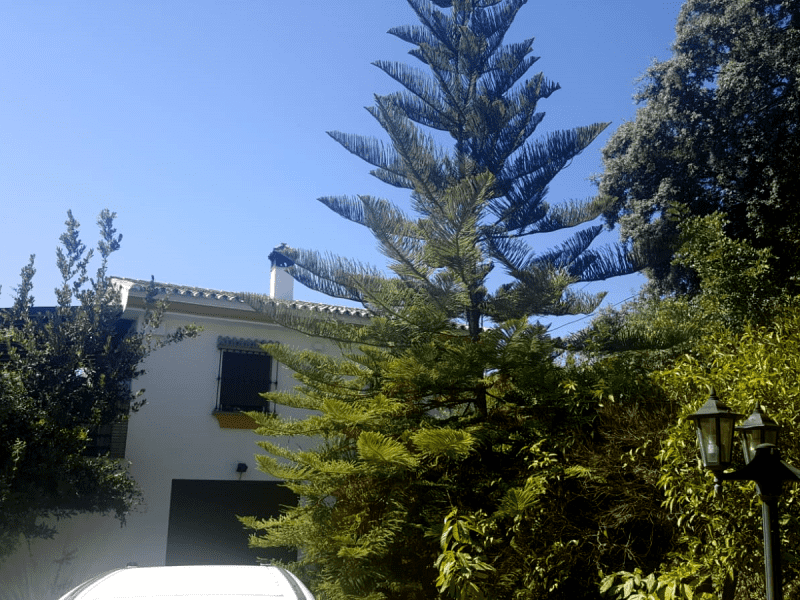 Housesitting assignment in Coín, Spain