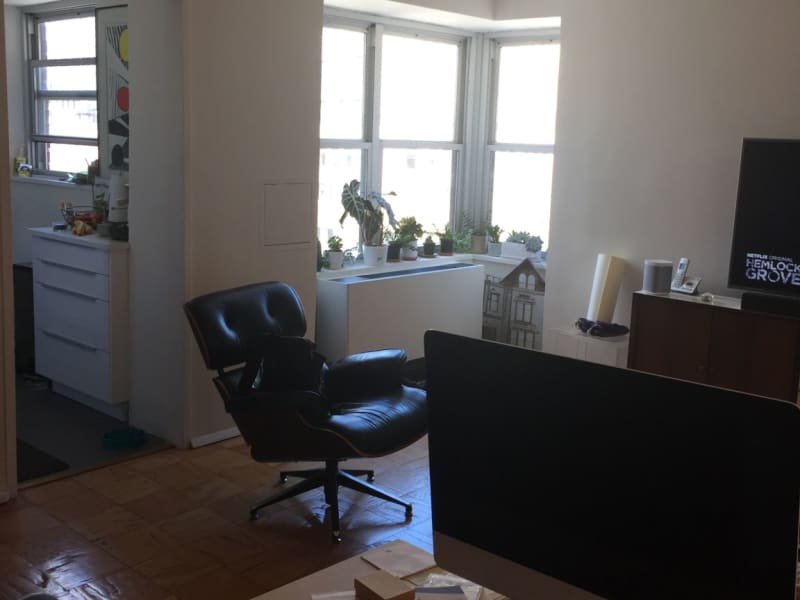 Housesitting assignment in New York City, New York, United States