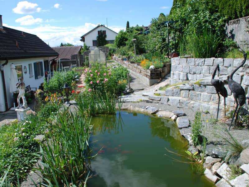 Housesitting assignment in Zufikon, Switzerland