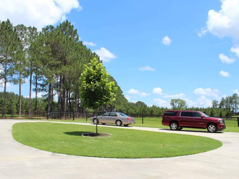 Housesitting assignment in Pavo, Georgia, United States