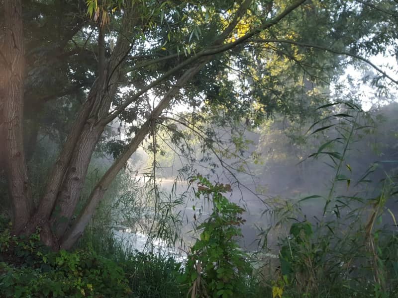 Housesitting assignment in Lüneburg, Germany
