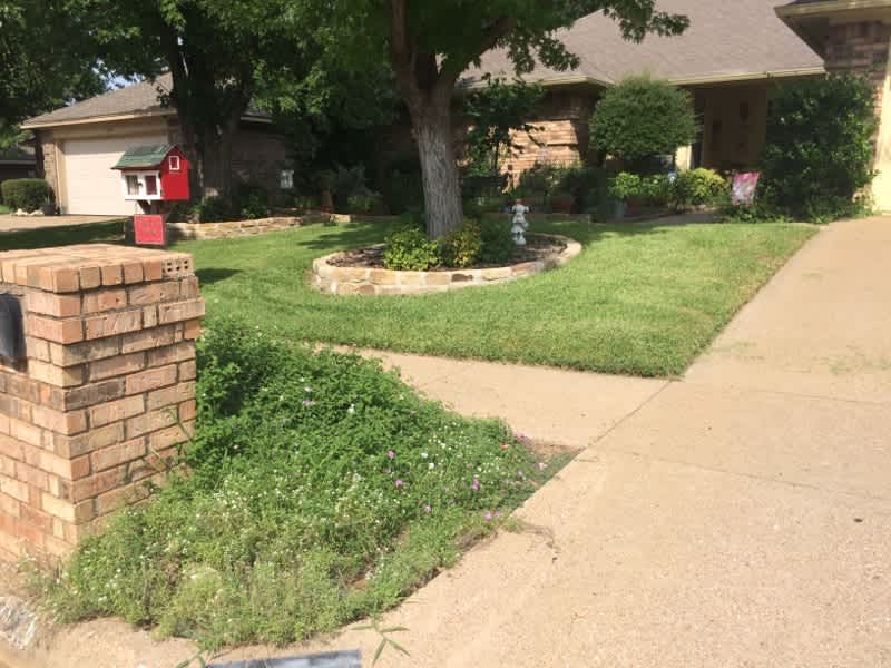 Housesitting assignment in Arlington, Texas, United States