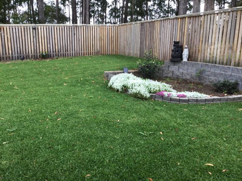 Housesitting assignment in Port Macquarie, New South Wales, Australia