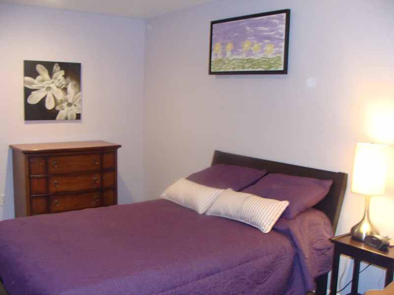Housesitting assignment in McLean, Virginia, United States