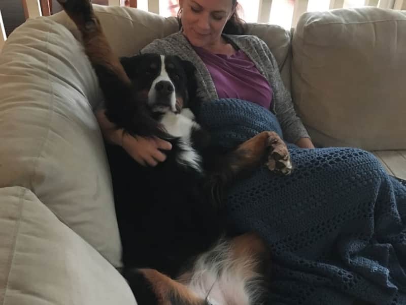 Housesitting assignment in Coquitlam, British Columbia, Canada