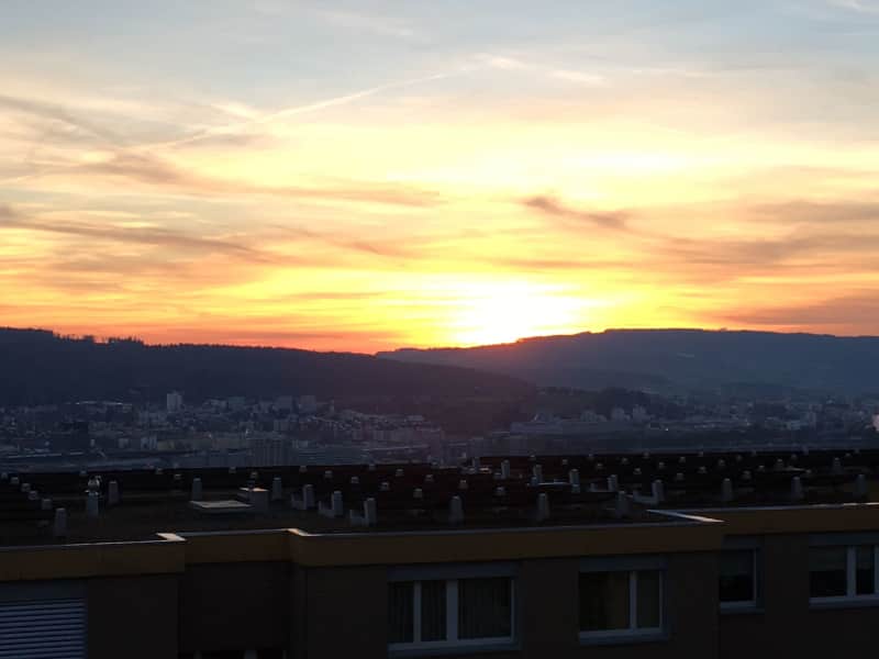 Housesitting assignment in Zürich, Switzerland