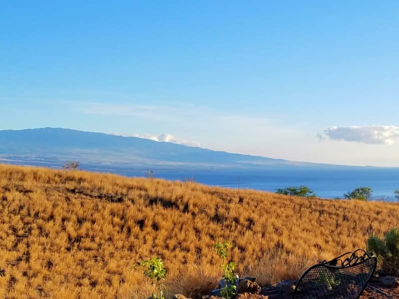 Housesitting assignment in Kawaihae, Hawaii, United States