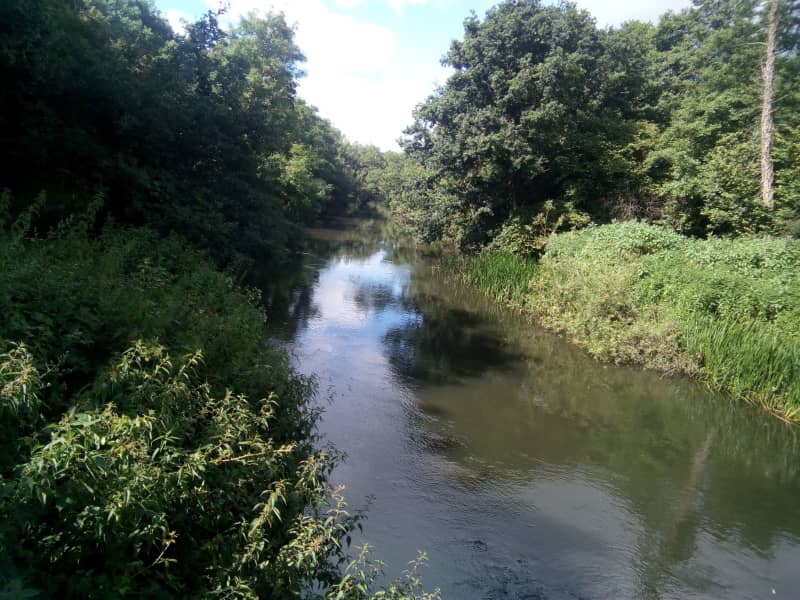 Housesitting assignment in Reading, United Kingdom
