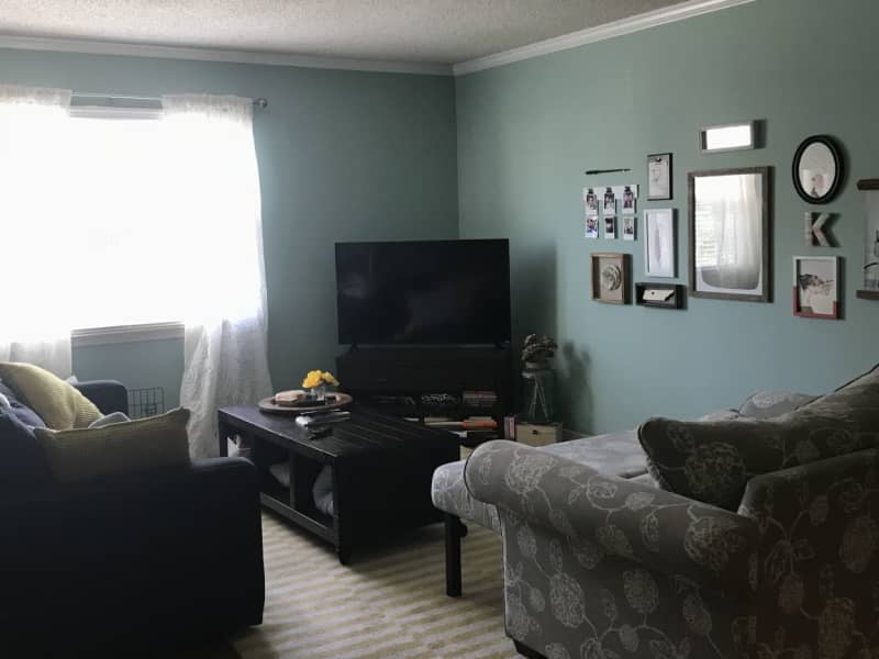 Housesitting assignment in Franklin, Tennessee, United States