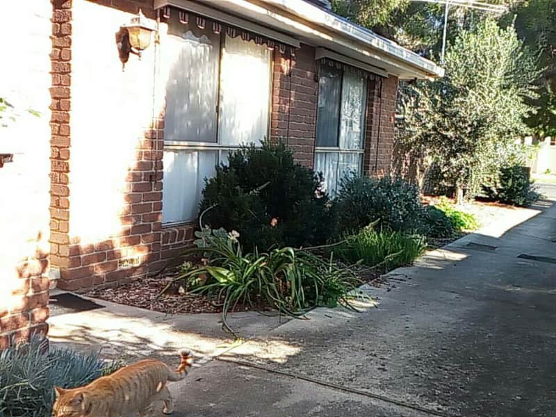 Housesitting assignment in Carrum Downs, Victoria, Australia