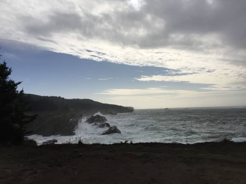 Housesitting assignment in North Bend, Oregon, United States
